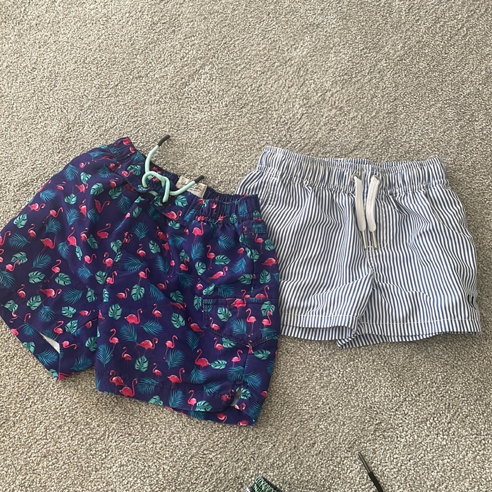 Bundle Beau Hudson toddler swim trunks and sovereign code